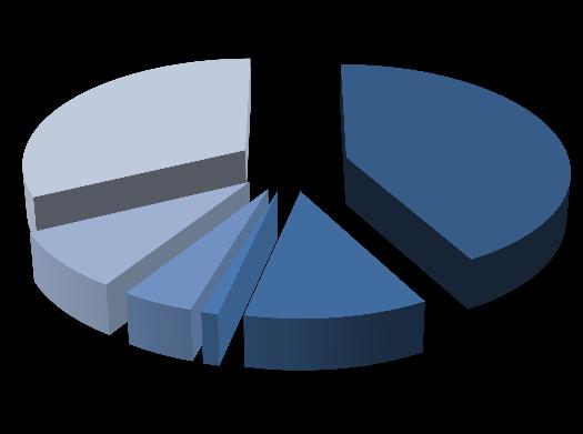 Wykres Struktura przychodów kontraktów z NFZ Struktura przychodów NFZ 1Q2016 NFZ - Struktura terytorialna 1Q2016 NiŚOM 32% POZ