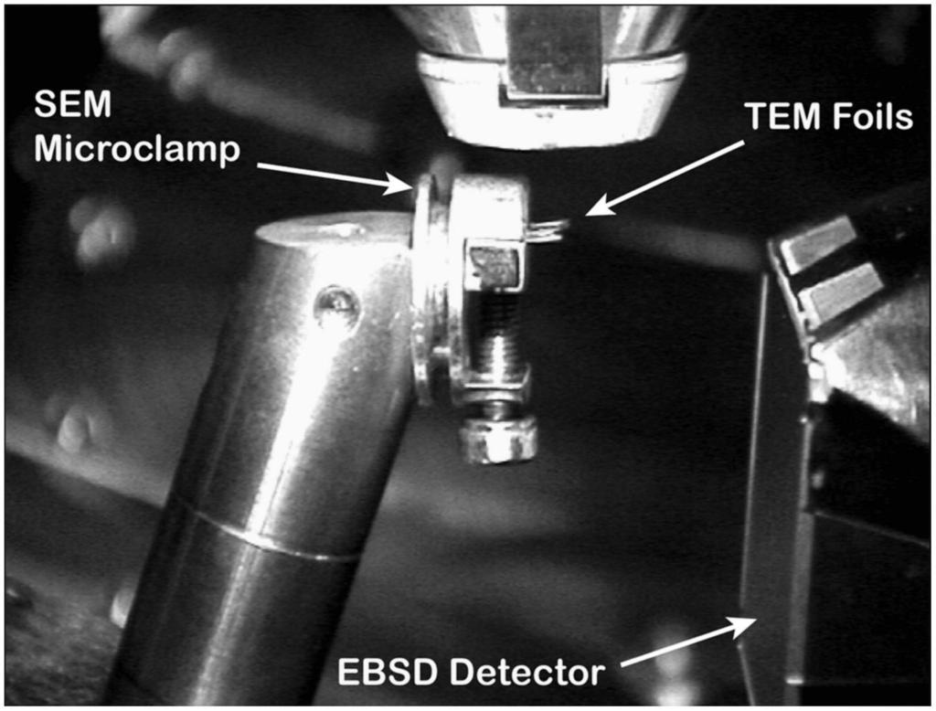 Experimental set up for SEM-TKD, with the pre-tilted EBSD sample holder, the TEM foils held in a microclamp