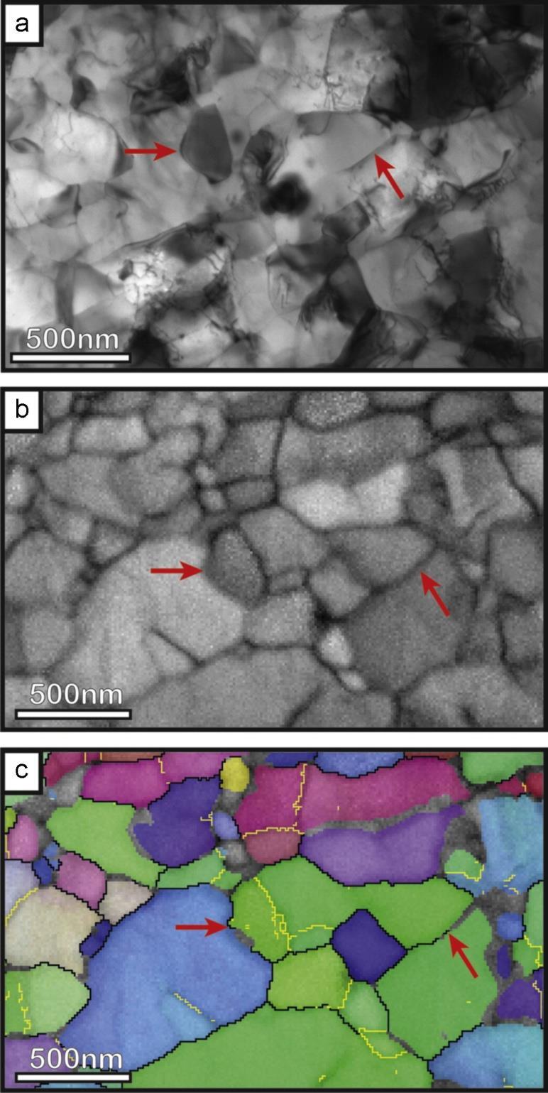 A comparison between STEM imaging in the SEM and TKD orientation mapping in aluminium alloy Al6060. (a) A BF STEM image collected in the SEM.