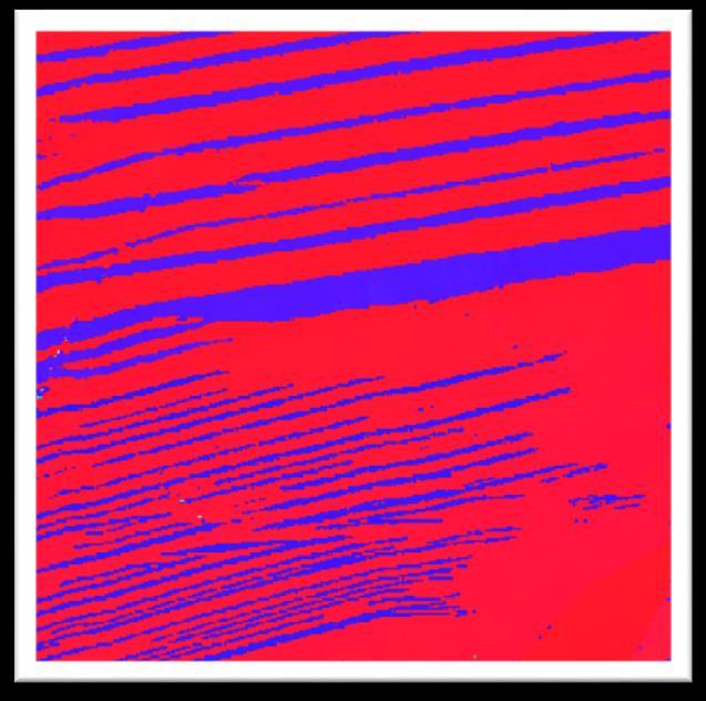 4 µm Reverse transition Distribution of