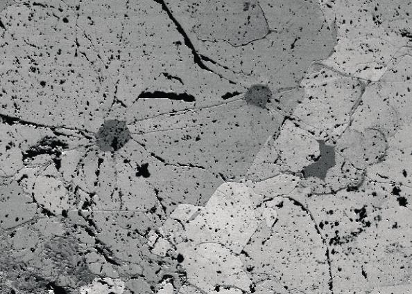 Forescatter electron image General microstructure of the analyzed area.