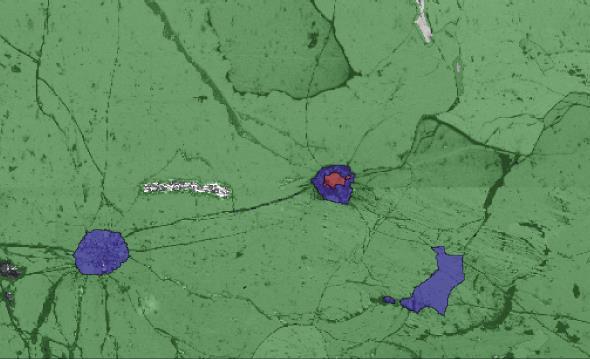 Phase map Distribution of three phases across the area Garnet is marked in green, quartz in blue and coesite in red.