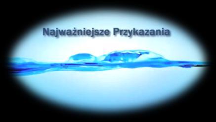 Niech się weseli serce szukających Pana głosi antyfona na wejście. Weselcie się wy, którzy Go szukacie, albowiem szukając, już Go znaleźliście.