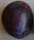 ) Mathematical model of geometric features of selected varieties of fruit plum (Prunus domestica L.