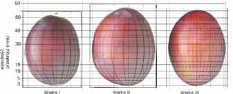 INŻYNIERIA ŻYWNOŚCI 17 Tabela 3. Wartości błędu względnego (%) dla wymiarów śliwek (I, II, III) odmian Amers, Bluefre, Węgierka i ich modeli 3D Tabela 3.