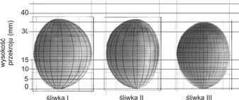 odmiany Bluefre Plum varieties Bluefre Rys. 6. Rzuty śliwek I, II, III odmiany Bluefre ich modeli na płaszczyznę XZ. Fig. 6. Projections plums I, II, III Bluefre varieties of models on the XZ plane.