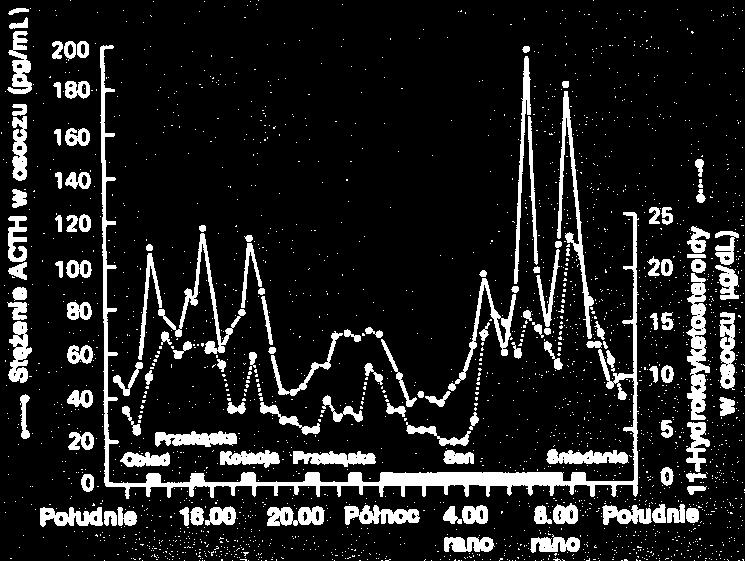 płat przysadki ACTH KORTYZOL kora