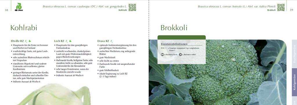 A look at the seed catalogues / Rzut okiem na katalogi