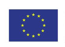 INSTYTUT SPRAW PUBLICZNYCH Program Społeczeństwa i Demokracji Publikacja współfinansowana ze środków Unii Europejskiej w ramach Programu Przeciwdziałania i Zwalczania Przestępczości.