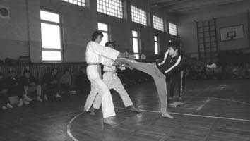 W ferie zimowe 1985 roku na zaproszenie sekcji kungfu z Żor 16 lubartowskich taekwondoków wzięło udział w tygodniowym