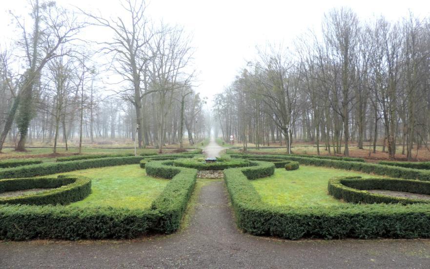 Park w zespole Gminny program opieki nad zabytkami gminy Krośnice na lata 2015-2018 Zdjęcie nr 9. Park w zespole pałacowo - parkowym z folwarkiem, Krośnice Park położony jest w zach.