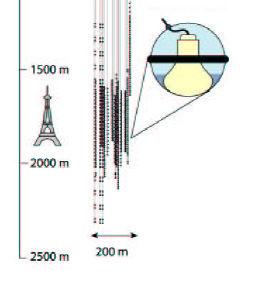 AMANDA Antarctic Muon And