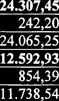 995,70 3.307,95 24.