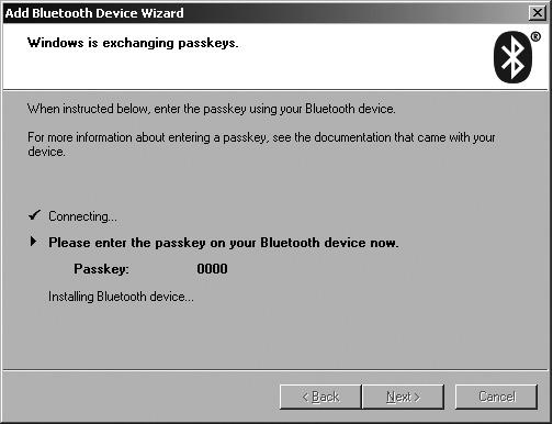 System Windows próbuje podłączyć adapter do telefonu: W czasie trwania procesu podłączenia, konieczne będzie potwierdzenie żądania.