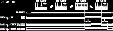 minimum level (3 electrodes or 2