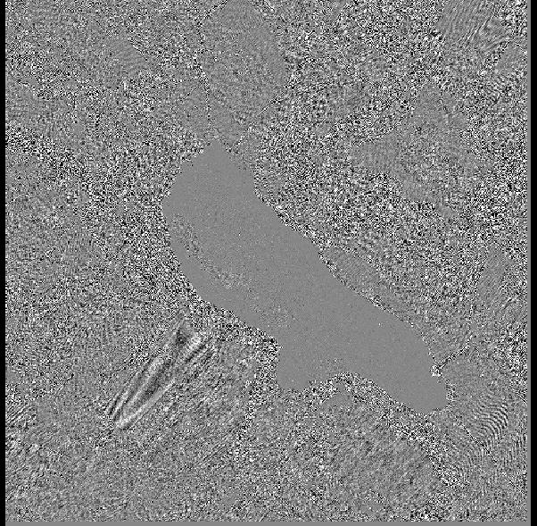 Zauważono, że korelacja rozkładu z szumami może być zaburzona w tych fragmentach obrazu, gdzie występuje naturalna