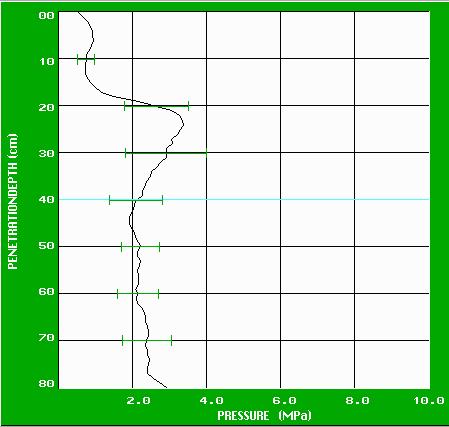 W profilach gleb uprawianych konwencjonalnie (rys. 1a i 2a) przebieg wielkości oporu na penetrację charakteryzował się niskimi wartościami przy powierzchni. Wahały się one od 0,8 do 1 MPa.
