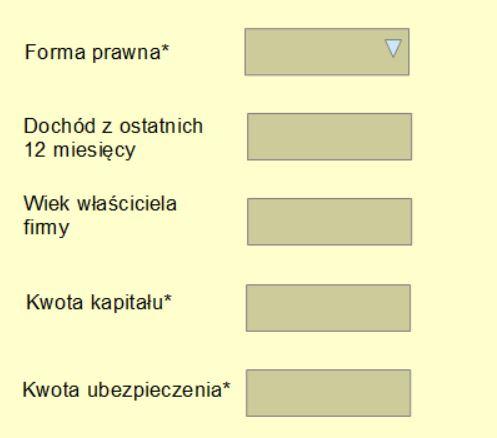 Rysunek 2: Formularz utworzony na potrzeby testów - opracowanie własne Pola Dochód z ostatnich 12 miesięcy oraz Wiek właściciela firmy nie są domyślnie obowiązkowe, ponieważ pole Forma