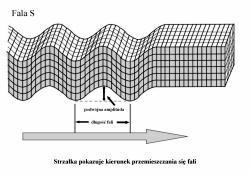 Fale S Ruch czastek ośrodka odbywa sie w kierunku prostopadłym do kierunku propagacji fali.