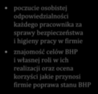 Aspekty oceny kultury bezpieczeństwa pracy Odpowiedzialność i świadomość w zakresie BHP poczucie osobistej