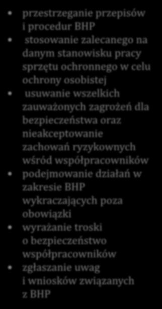 ich realizacji oraz ocena korzyści jakie przynosi firmie poprawa stanu BHP Bezpieczne zachowania przestrzeganie przepisów i