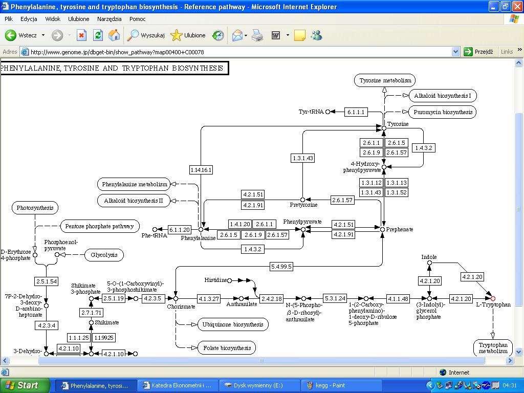 BIOINFORMATYKA Gromadzenie informacji: Literatura naukowa, Sekwencje DNA, RNA, białek, charakterystyczne motywy, Inne cząsteczki biologiczne, Struktury, Interakcje białek, Profile ekspresji, Szlaki