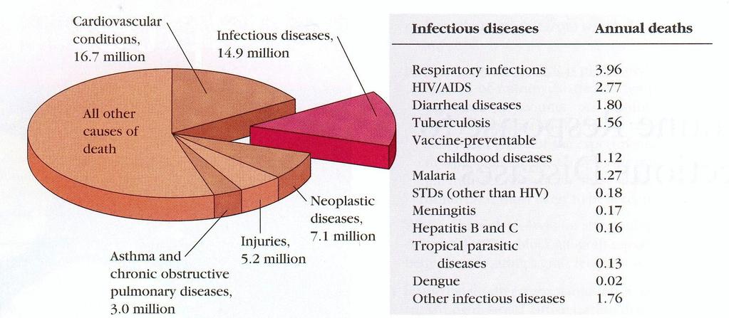 Choroby infekcyjne należą do najważniejszych przyczyn śmierci wśród
