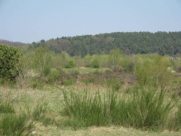 Zespół przyrodniczno-krajobrazowy Dolina Strzyży o powierzchni 375,45 ha położony w otulinie Trójmiejskiego Parku Krajobrazowego, utworzony w 2001 r.