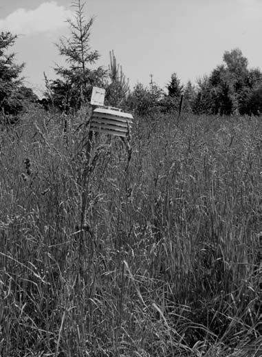 216 Z. Caputa Ryc. 27. Loaklizacja mikrorejestratorów na wierzchowinie (po lewej) i na dnie doliny (po prawej) Fig. 27. Data loggers location in plateau (on left) and on bottom valley (on right) tys-lelek w tym tomie).