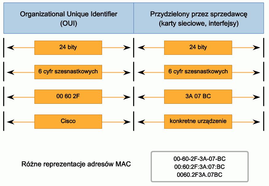 12 Urządzenia sieciowe Gdy urządzenie nadawcze przekazuje wiadomość do sieci Ethernet, to dołączany jest do niej nagłówek zawierający docelowy adres MAC. Urządzenie nadawcze wysyła dane przez sieć.