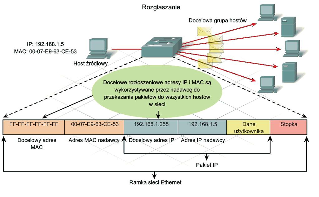 Dynamic Host Configuration Protocol) i ARP (ang. Address Resolution Protocol) wykorzystuje transmisję rozgłoszeniową.