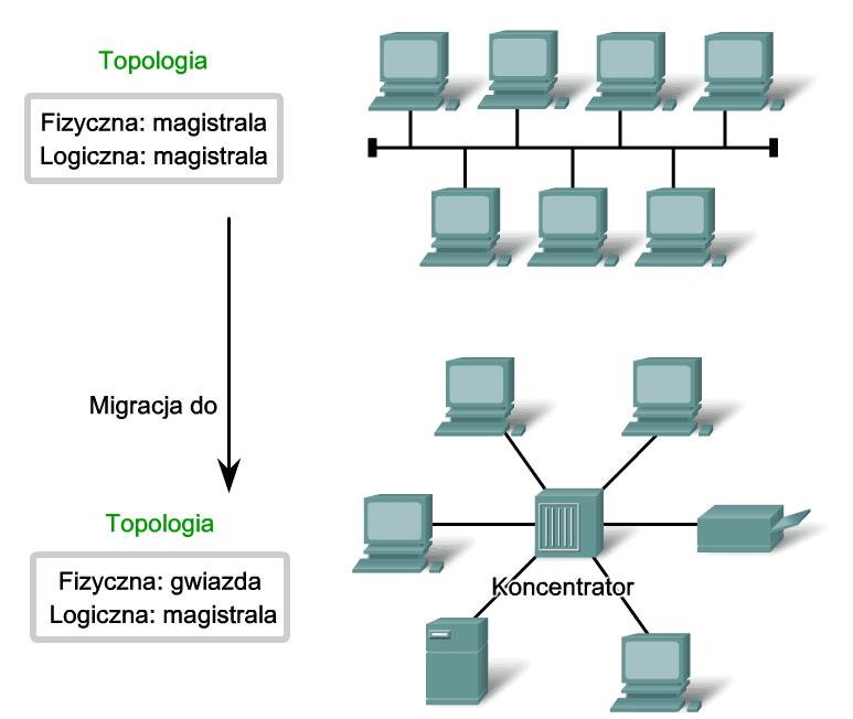 7 w sieci LAN. Wykorzystując koncentrator w takiej topologii magistrali zwiększana jest niezawodność sieci z tego względu, że uszkodzenie jednego kabla nie powoduje awarii całej sieci.