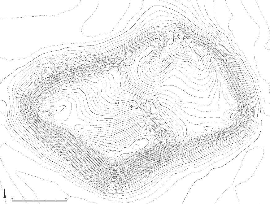 ryc. 1. Zdjęcie satelitarne stanowiska Gurukly depe. Fig.