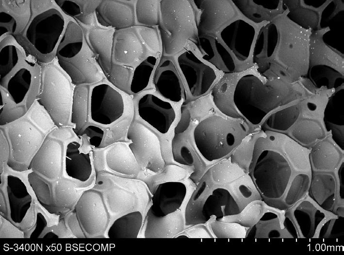 Uzyskana struktura charakteryzowała się dużą regularnością budowy, równomiernością rozmieszczenia porów, bardzo cienkimi ażurowymi ściankami przypominającymi struktury wielościanów (podobnie jak to