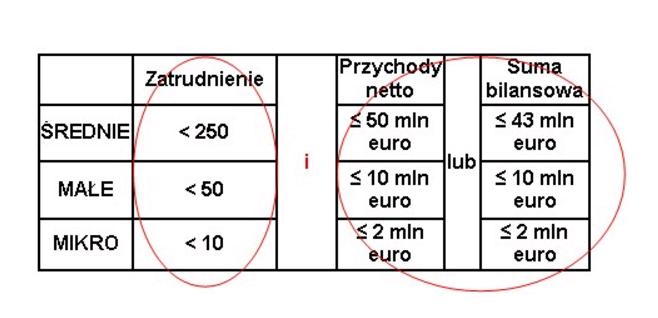 W przypadku, gdy podmiot ubiegający się o przyznanie pomocy wykonuje działalność gospodarczą, do której stosuje się przepisy ustawy z dnia 2 lipca 2004 r.