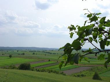 Program wieloletni na lata 2011 2015 WSPIERANIE DZIAŁAŃW ZAKRESIE KSZTAŁTOWANIA ŚRODOWISKA ROLNICZEGO I ZRÓWNOWAŻONEGO ROZWOJU PRODUKCJI ROLNICZEJ W POLSCE Głównym celem Programu wieloletniego jest