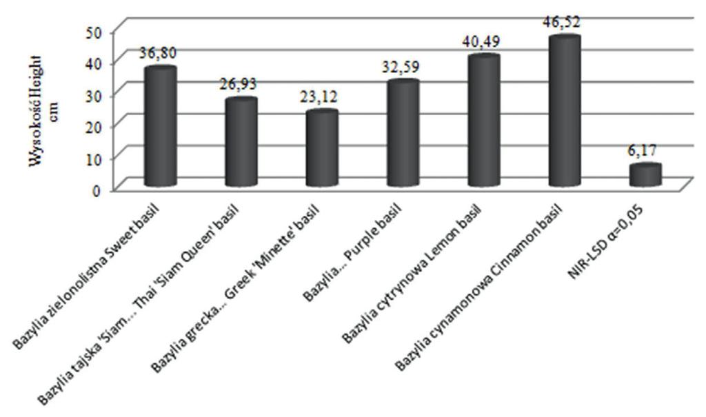 wybrane cechy fitometryczne bazylii pospolitej... 285 uzyskali średnią wysokość roślin.