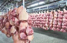 , jako część Belgian Pork Group, możemy oferować naszym klientom produkty i usługi najwyższej jakości. Naszą jakość gwarantujemy od hodowcy do punktu sprzedaży.