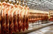 Noordvlees Van Gool NV, zatrudniający 150 pracowników, osiąga roczne obroty skonsolidowane na poziomie 250 milionów euro. Większość obrotu stanowi sprzedaż tusz, części mięsa i podrobów.