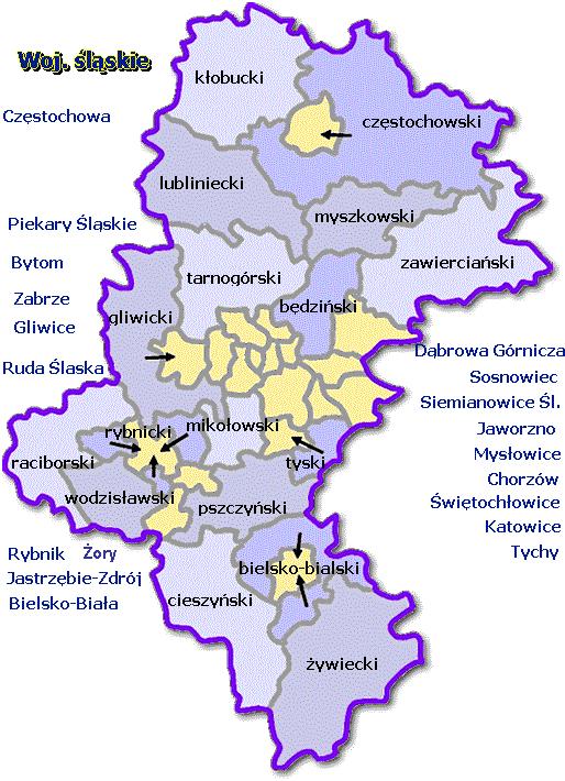 od południa z gminą Sośnicowice, natomiast od zachodu z województwem opolskim (gminami Bierawa, Kędzierzyn Koźle i Ujazd).