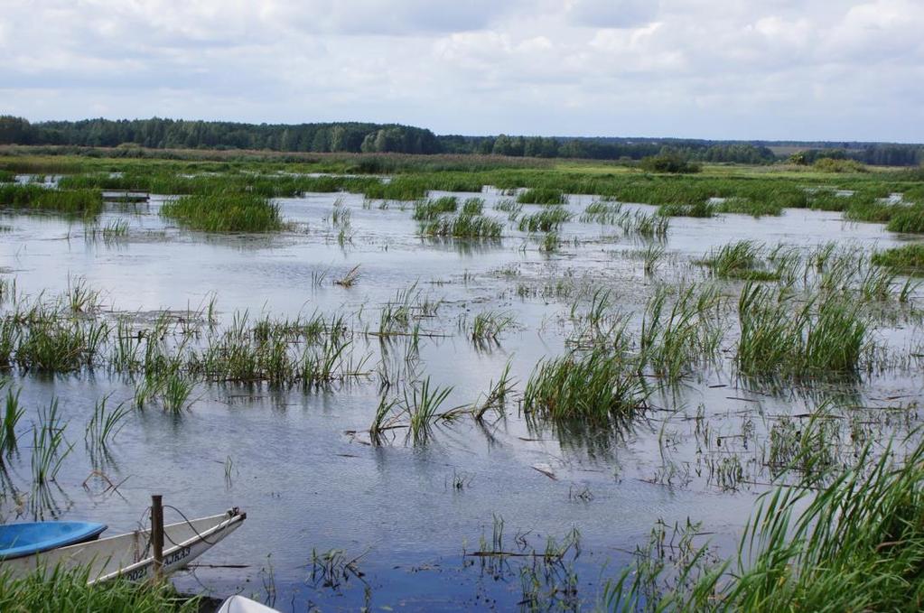 Aktywność samorządów gmin w odniesieniu do poszczególnych form ochrony przyrody od kwietnia 2009 r.