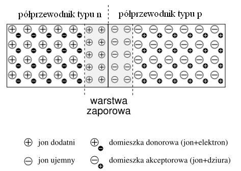 się (dyfundują), co wynika z różnicy ich koncentracji.