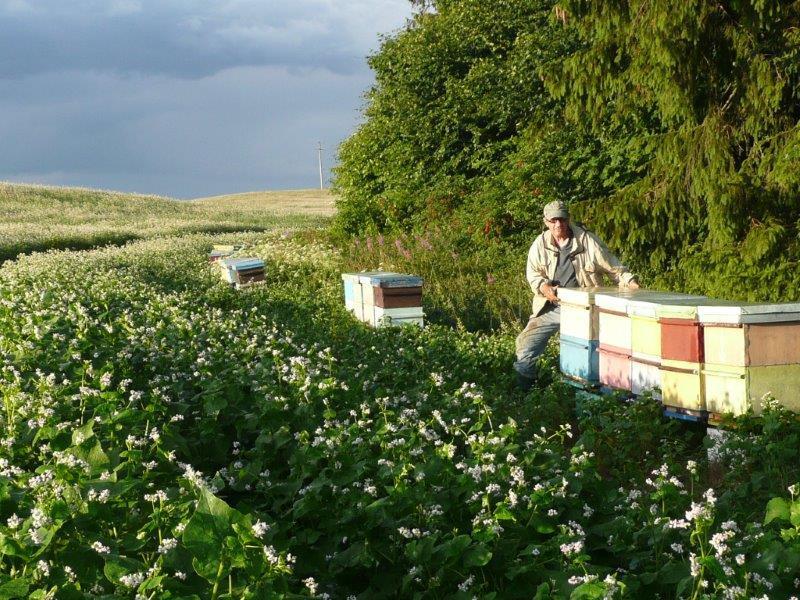 są spełnione wymagania zabezpieczające przed zagrożeniem epizootycznym lub epidemicznym lub zapewniają właściwą jakość produktów; przesyłka spełnia przepisy weterynaryjnej kontroli granicznej.