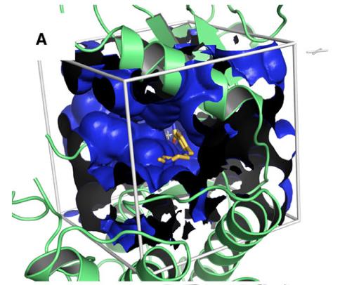 PRZYGOTOWANIE DOKOWANIA PARAMETRY