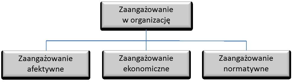 Perspektywa jednostkowa Zaangażowanie w