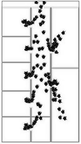 : The role of unstable nonlinear feedback in complex systems, Proceedings of the Fifth International