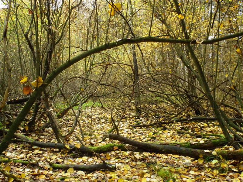 Dziennik Urzędowy Województwa Łódzkiego 9 Poz. 5653 Fot. 4.