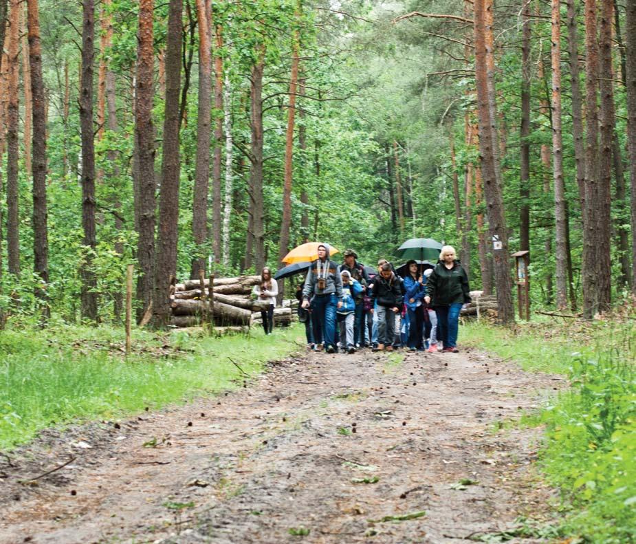 Zaobserwowano tutaj 150 gatunków ptaków. Dla ornitologów symbolem torfowisk jest ptak zagrożony wyginięciem w skali świata wodniczka.