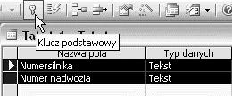 82 ABC Access 2003 PL Rysunek 10.6. Pole pełniące rolę klucza Rysunek 10.7.