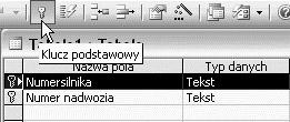 W bazie można zdefiniować więcej niż jeden klucz. Co prawda już jeden wystarczy, aby zapewnić unikatowość rekordów (aby możliwe było ich rozróżnianie).